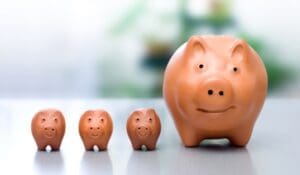 Small Banks Payments Banks Big Banks